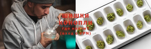 гидра Абаза