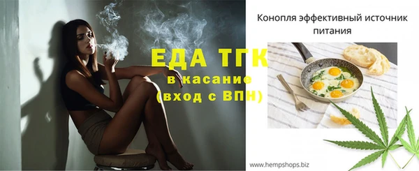 гидра Абаза
