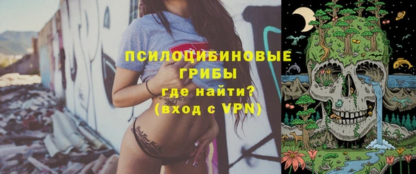 гидра Абаза