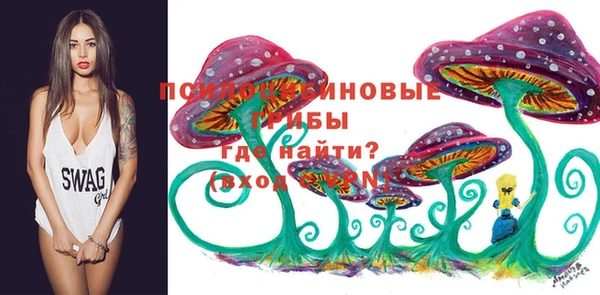 гидра Абаза