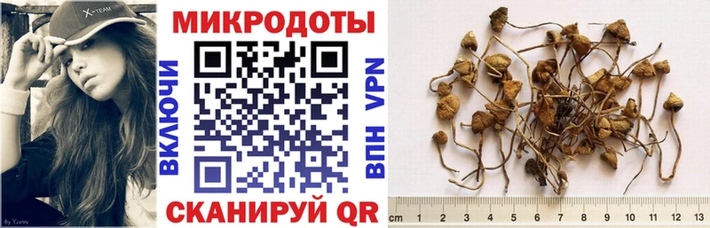 Галлюциногенные грибы Psilocybine cubensis  hydra ONION  Новое Девяткино 